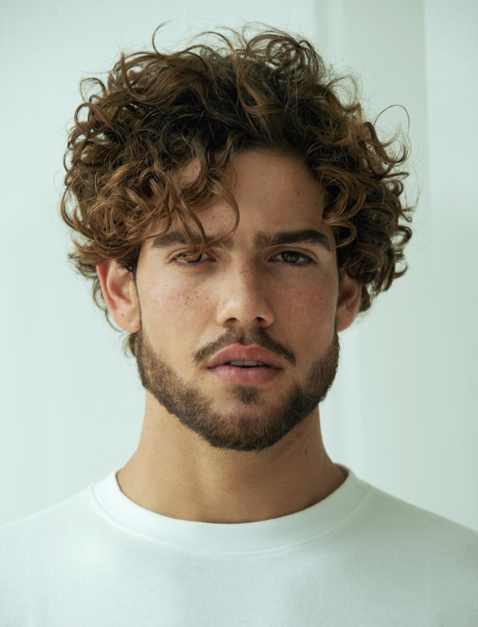 Amir Ares | Miami | Next Management